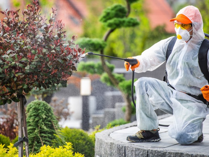 Fethiye Haşere İlaçlama